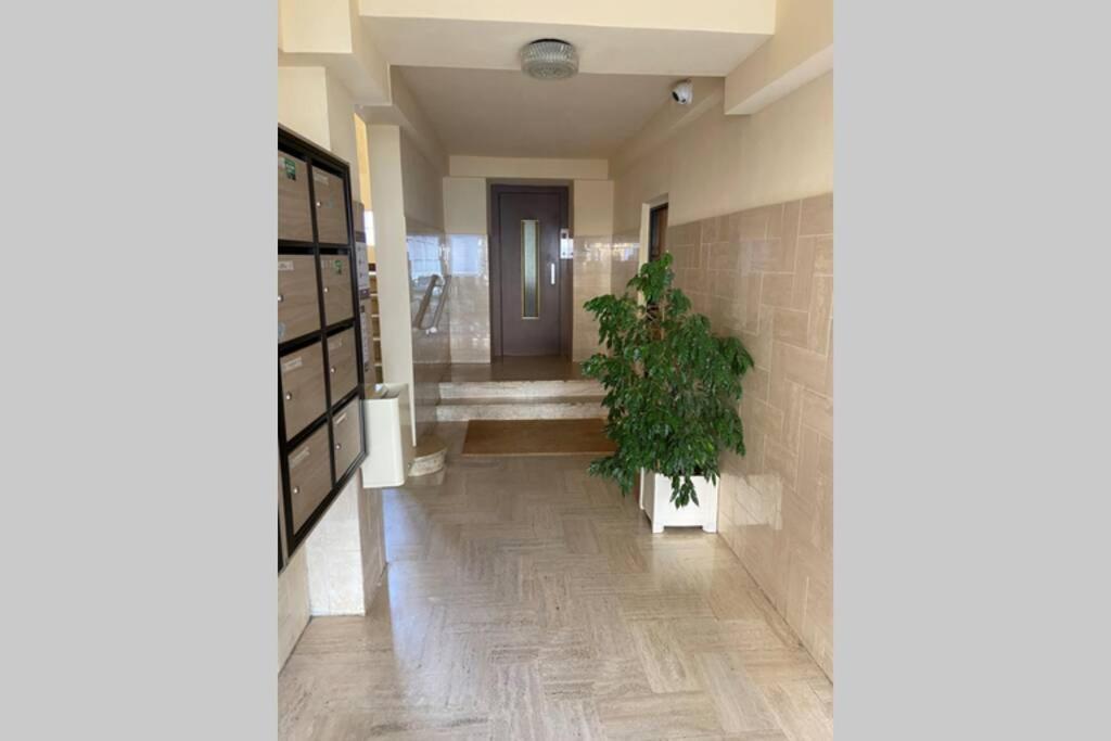 Trottel Balcony Apartment: Retreat With Wi-fi And Parking Apartment Ajaccio (Corsica)
