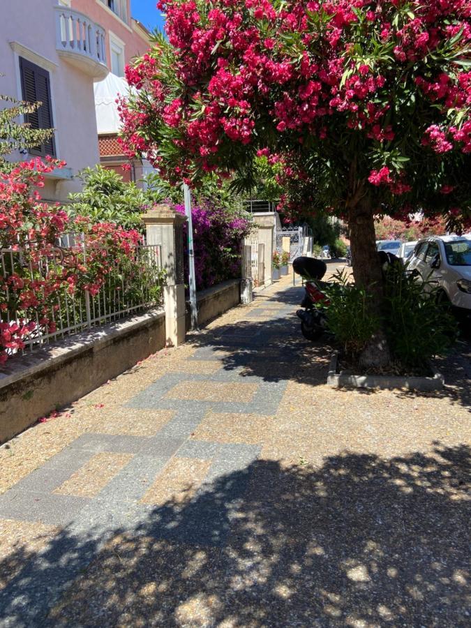 Apartment Trottel Balcony Apartment: Retreat With Wi-fi And Parking Ajaccio (Corsica)